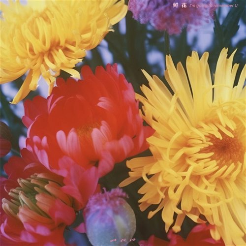 回春丹-鲜花Trance