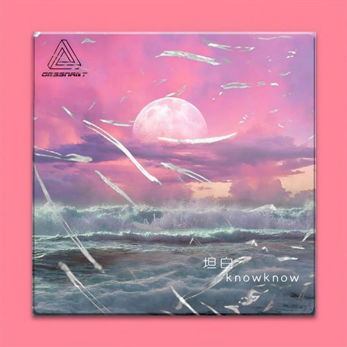 KnowKnow - 坦白 (SHIVA Bootleg)