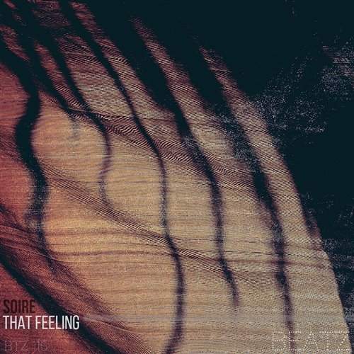Roei Dolev - That Feeling (Original Mix) 