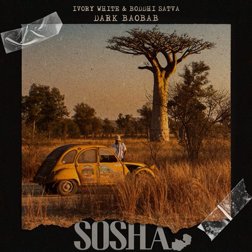 Ivory White  Boddhi Satva - Dark Baobab (Extended Mix) 