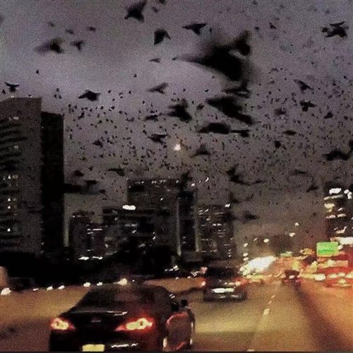 Wenzday - Bossy (Original Mix) 