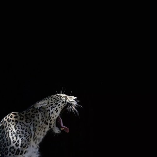 Look At Me Now (Secret Menu Remix)