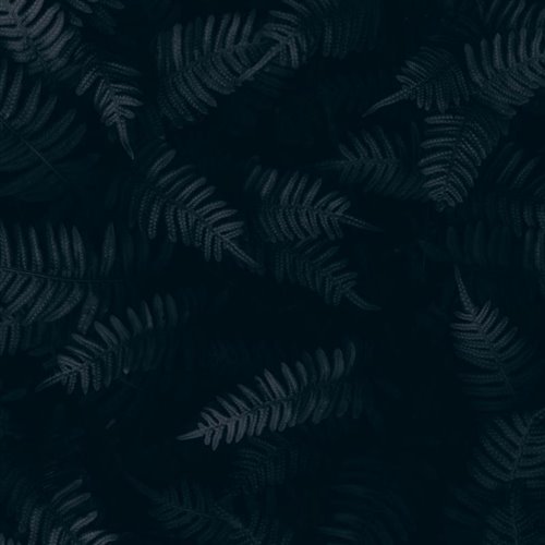 Something just this  妹妹大胆往前走 (Carey Vina Edit)