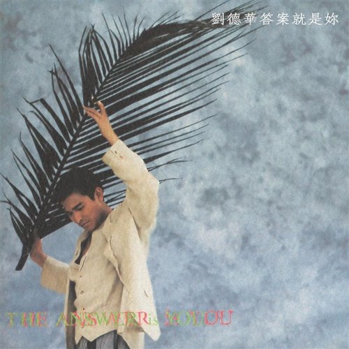 刘德华-暗里着迷 (BlackSamurai.T X MinGtist Bootleg)