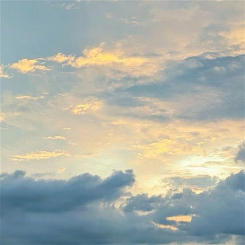 独家首发 电平 Lead(Toxic·Aw Official Mix)