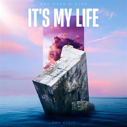 爆点 肢体动作左右Its My Life(Shevin Edit)