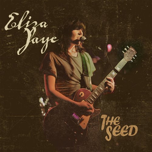 Big Dipleir - Tin's RiMX