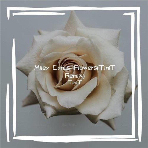 Miley Cyrus - Flowers (Anakin Remix)