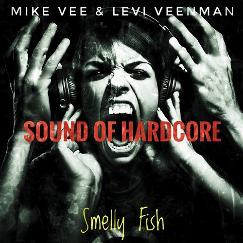 Sound Of Hardcore Vibes (Daniel Rosty Smash)