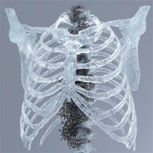 Goom Gum - Flora [TAU]