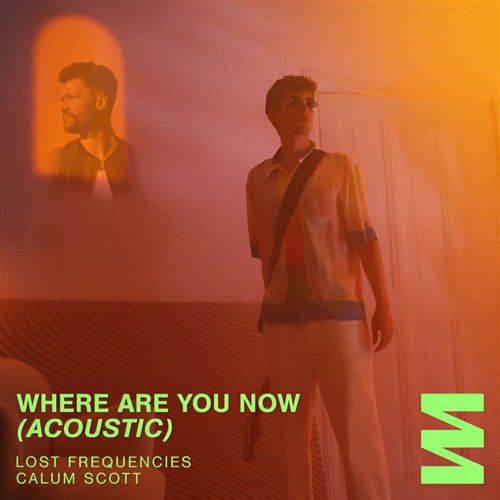Lost Frequencies feat. Calum Scott - Where Are You Now (Filippo Pellicanò Remix)