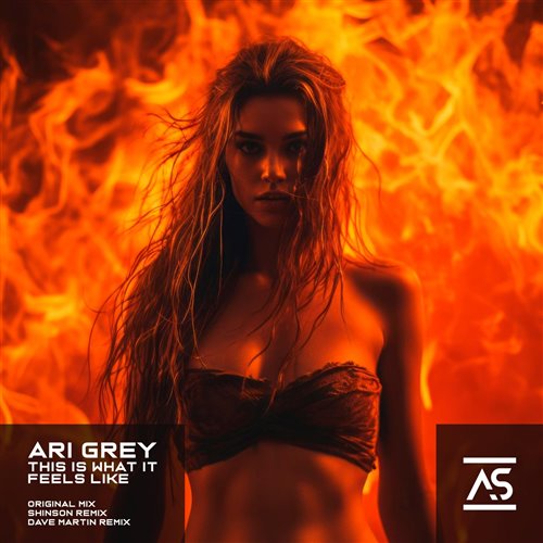 Braaten  Chrit Leaf - This Is What It Feels Like [Extended Mix] 