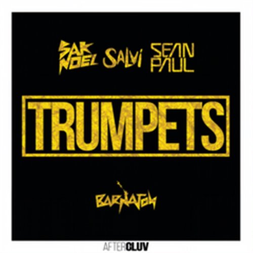 Sak Noel  Salvi FT. Sean Paul - Trumpets [Top 40 Redrum] [Moombahton Hype Edit] [Clean] 11B 105