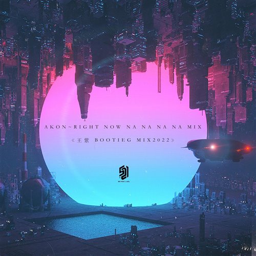 Akon - Right Now MIX (王紫 Bootleg Mix2022)