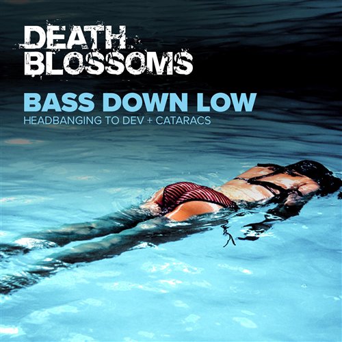 Bass Down Low - DJ Banana ft Zin Xù