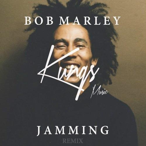 Jammin - TIN'S (Remix)