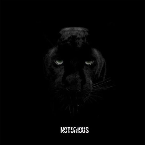 NOTORIOUS - LH EDIT
