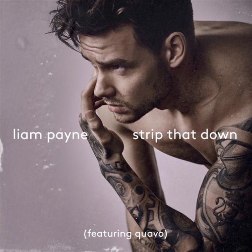 Strip That Down Vs Swedish House Mafia - One (Tech House  POP Dance)