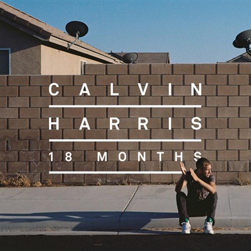 Collini x Rihanna - We Found Love (Tech House  POP Dance)