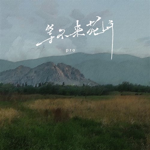 Pro - 等不来花开1