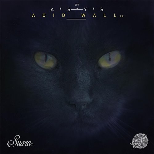 A_S_Y_S - Acid Wall