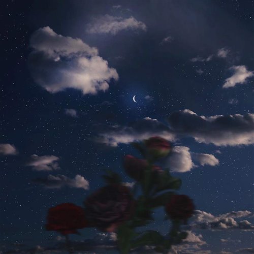 Doja Cat - Say So (Kyle Miller Edit)
