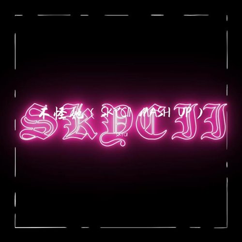 失恋不怪坏她 (SKYCII MASH UP)