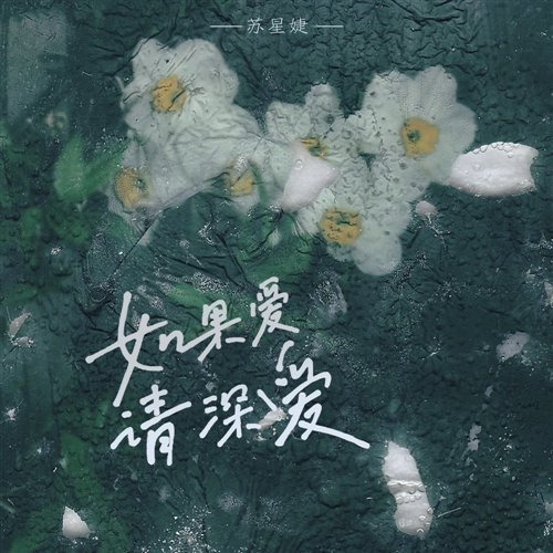 苏星婕 - 如果爱请深爱(FY Bootleg)V1