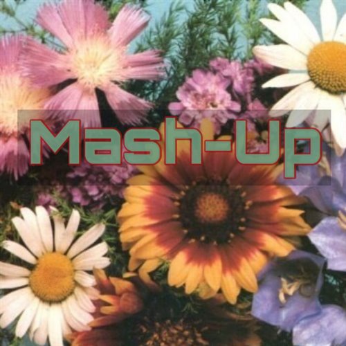 Feel That (Mash-Up)[Dirty]