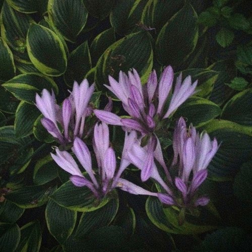  Azooland - All Again (Extended) 