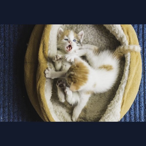 文慧如 Cover -Coldplay X 李玉剛 《Something Just Like This X 剛好遇見你》MASHUP