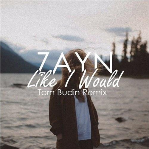 Zayn - Like I Would (Tom Budin Remix)