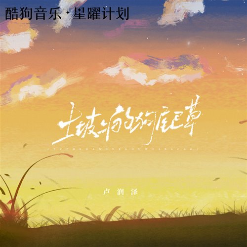 卢润泽  土坡上的狗尾巴草(LiveQ Bootleg) 