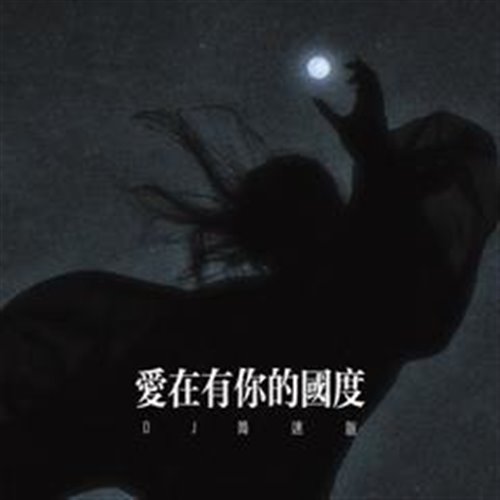 抖音热门 爱在有你的国度 (DragonX, 释怀 Bootleg) 