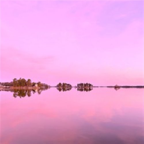 My Hump (Chen野 Vina Rework)