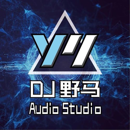 徐誉滕  天使的翅膀(DJ Henry Remix)Bootleg 