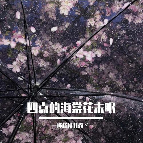 文文,释怀 Remix - [四点海棠花未眠] 