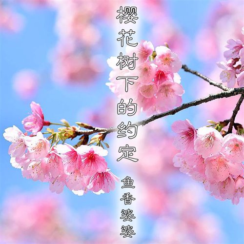樱花树下的约定 (FY鱼 Bootleg) 