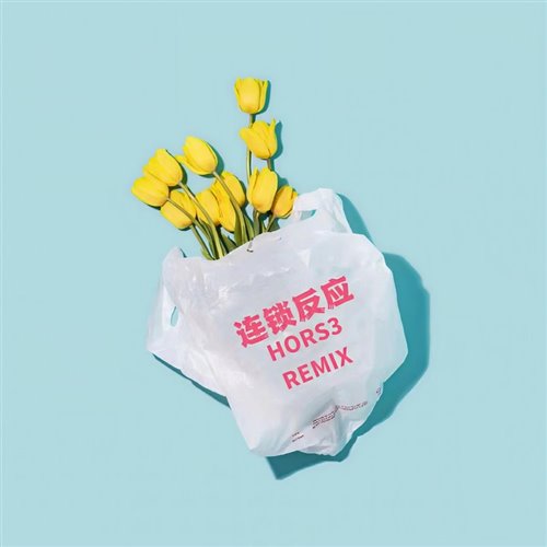 小马-HoRs3 - 林姗姗-连锁反应 （小马-HoRs3 remix）-1