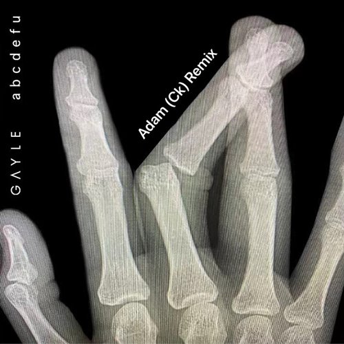 Gayle - Abcdefu (Fat Tony  Medun Remix)