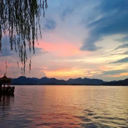 CON BAO TINH YEU - DAT MYN (Zuke)