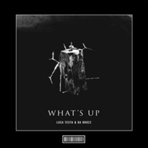 Luca Testa  Da Brozz - What's Up