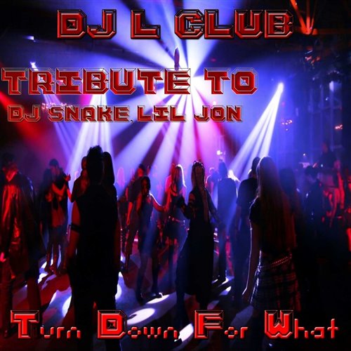 Turn Down For What (Even Steve Bass House Bootleg)