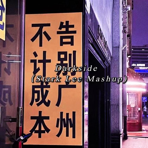 Stark Lee - Alan Walker - Darkside（Stark Lee Mashup)