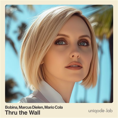 Bobina, Marcus Dielen, Mario Cola - Thru the Wall 