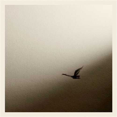 DAKOTTA DUBSTEP - На что готов_ (-999-) 