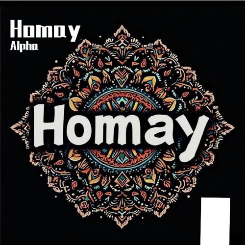 AY YOLA - HOMAY(DJ TAYSAYGER REMIX) 