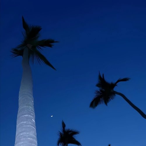 Dissomnication - Eyes (cut) 