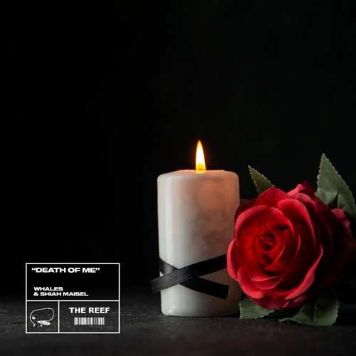 Whales feat. Shiah Maisel - Death of Me (Original Mix)