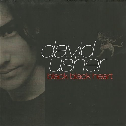 David Usher - Black Black Heart (Roma Mario Remix)